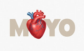 GridArt 20250213 075912070