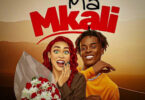 Msomali Ft Gigy Money E28093 Ma Mkali