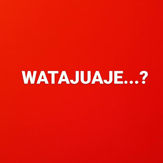 197267170 828431411435604 5986172209229017738 n