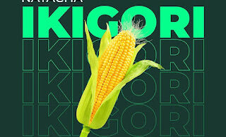 286323996 141037181857490 7351757008216397205 n