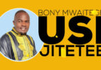 BONY MWAITEGE USIJITETEE Official Audio. 0 55 screenshot