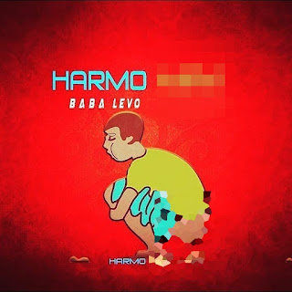 Baba Levo Harmo cover 1ngombozimedia 7