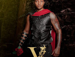 Brown Mauzo V The Album cover