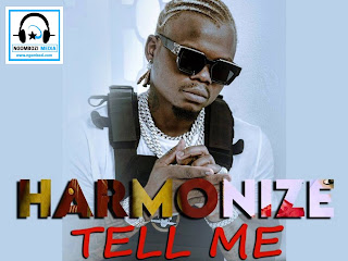 harmonize tellmeNGOMBOZIMEDIA 3