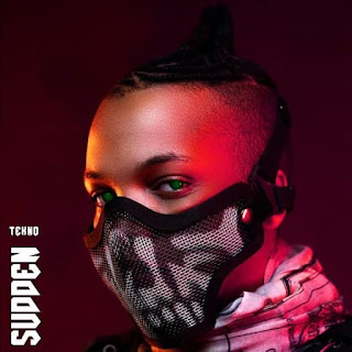 tekno252812529