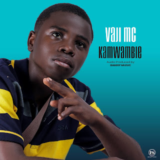 vajimc 9