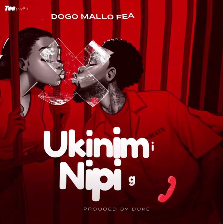 Dogo Mallo Ft. Dazzhp UKINIMISI NIPIGIE