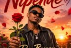 Don Breezy Nipende