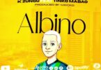 K Zungu Ft Tinko Mabao Albino