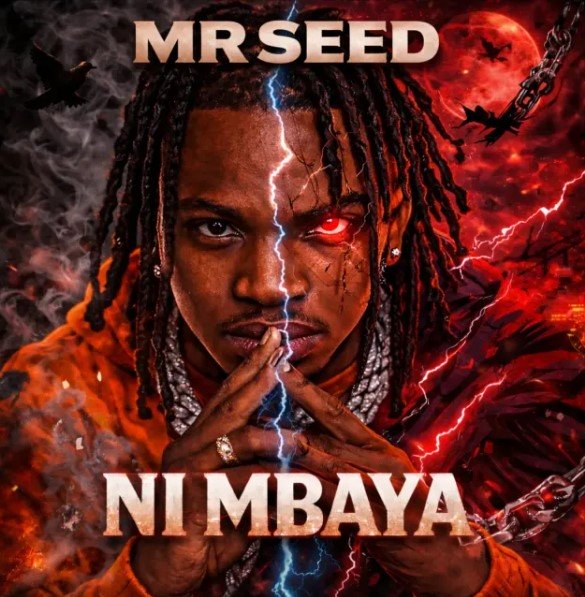 Mr Seed Ni Mbaya