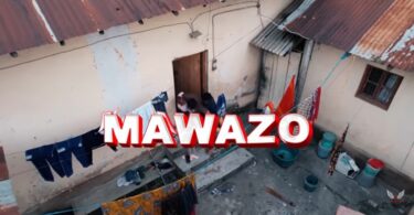 Nay Wa Mitego Ft Raydiance – Mawazo