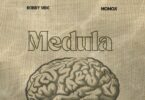 Robby Vibe Ft Momox KE Medula