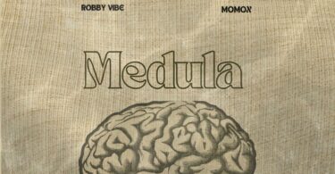 Robby Vibe Ft Momox KE Medula