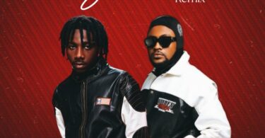 Udoo Ft. Moni Centrozone Sababu Remix