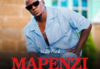 Willy Paul – Mapenzi Yananiua