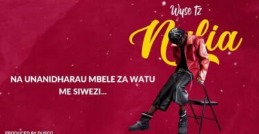 Wyse Tz – Nalia Mbagala 768x431 1