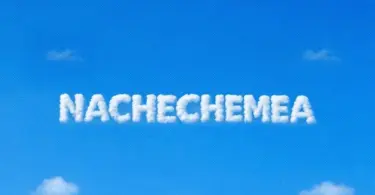 saluh nachechemea