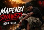 Dogo Paten – Mapenzi Siyawezi