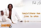Fabi Africa Mshahara