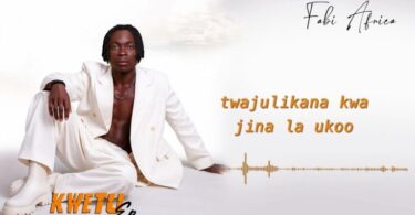Fabi Africa Mshahara