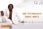 Fabi Africa Mwanahamisi