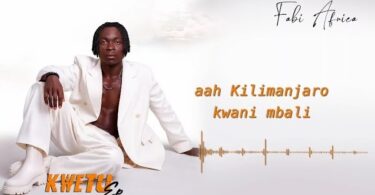 Fabi Africa Mwanahamisi