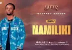 Godfrey Steven Namiliki