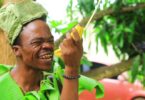 Harmorapa – Karibu Bongo
