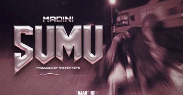 Madini Sumu