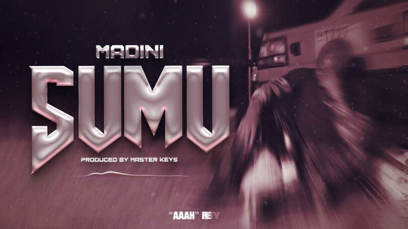Madini Sumu