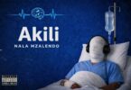 Nala Mzalendo – Akili