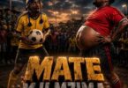 Ndaro Mate Mji Mzima