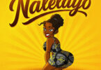 Petit Mauzo – Nalelayo