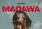 Sani Boy Madawa