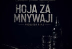 Shaulin Seneta Mwanazuoni – Hoja Za Mnywaji