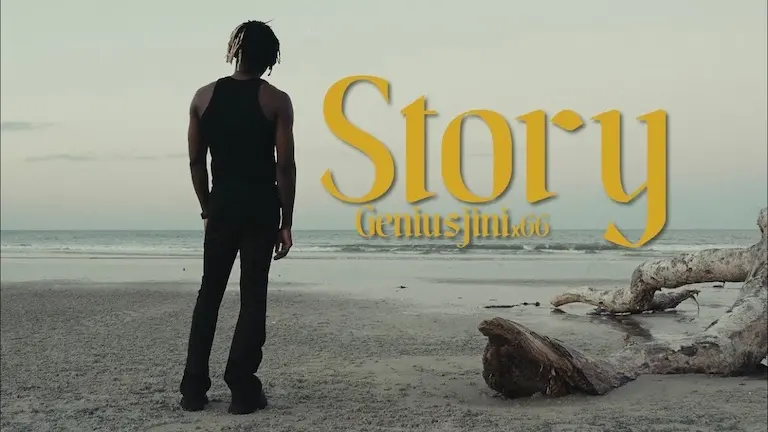 geniusjini x66 story