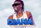 pallaso diana