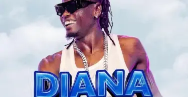 pallaso diana