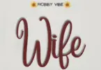 robby vibe wife