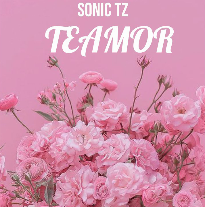 sonic tz teamor