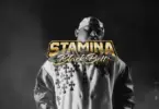 stamina black belt