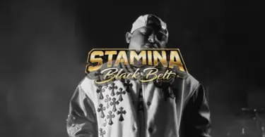 stamina black belt