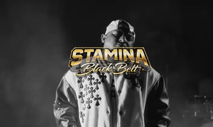 stamina black belt