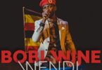 Bobi Wine Abayimbi