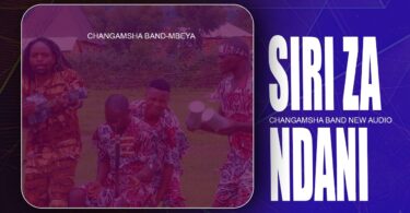 Changamsha Band Siri za ndani