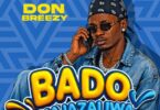 Don Breezy Bado Hajazaliwa