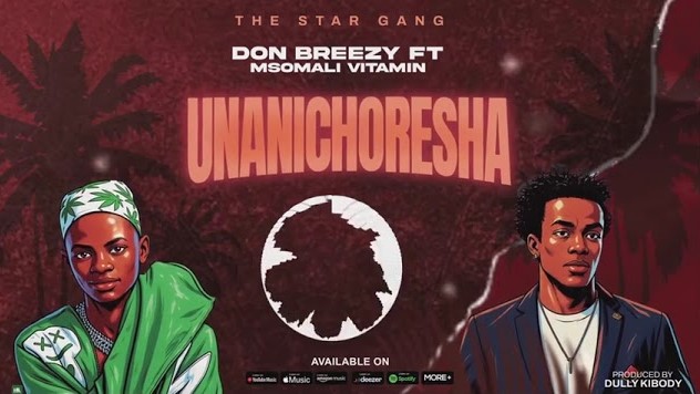 Don Breezy Ft Msomali Vitamin Unanichoresha