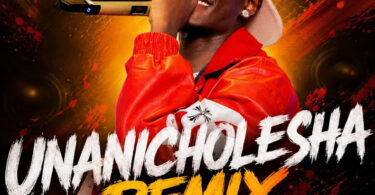 Don breezy Unanicholesha Remix