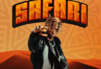 Its Password – Safari