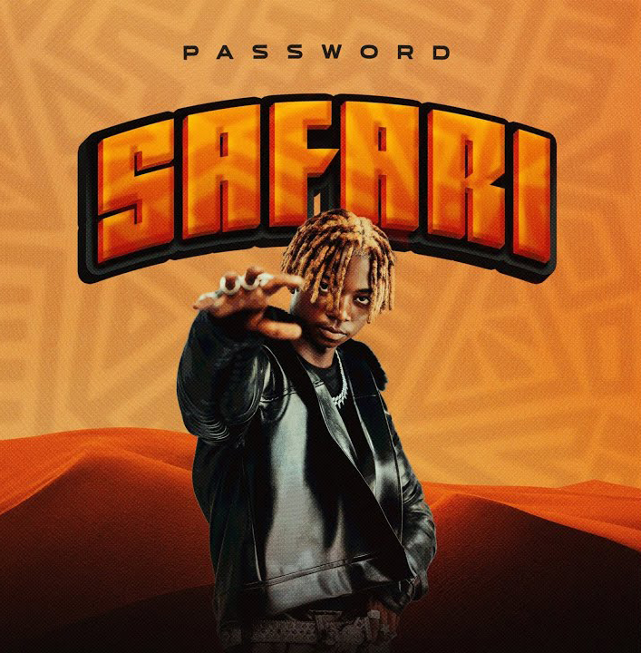 Its Password – Safari